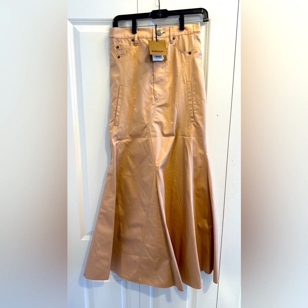 NWT  Burberry woman’s runway skirt Sz 4 , RARE